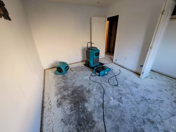 Best Flooded house restoration  in Ardsley, NY