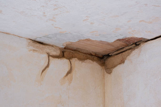 Best Water damage restoration near me  in Ardsley, NY