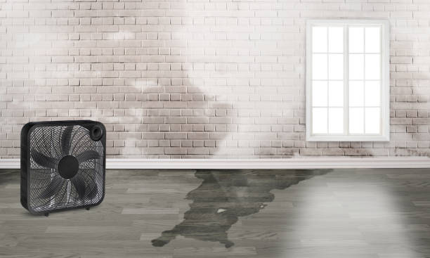 Best Flood damage cleanup  in Ardsley, NY