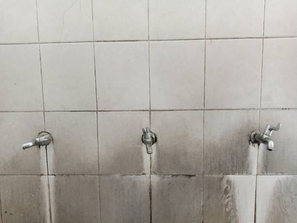 Best Mold removal after water damage  in Ardsley, NY
