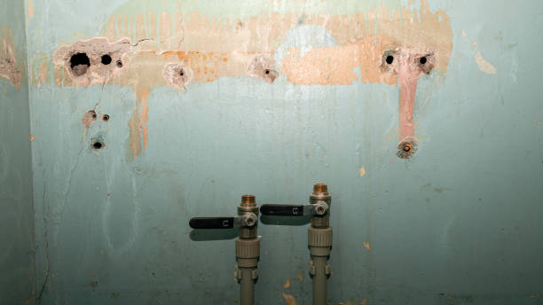 Best Flood restoration services  in Ardsley, NY