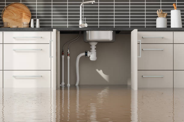 Best Basement water damage restoration  in Ardsley, NY