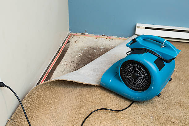 Best Emergency water damage restoration  in Ardsley, NY
